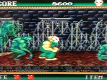 Load image into Gallery viewer, Splatterhouse 2