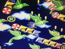 Load image into Gallery viewer, Sonic the Hedgehog - Special Stage