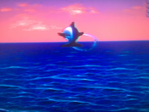 Ecco: the Tides of Time