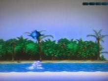 Load image into Gallery viewer, Ecco: the Tides of Time