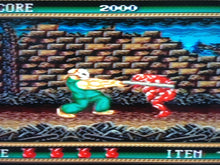 Load image into Gallery viewer, Splatterhouse 2