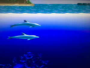 Ecco: the Tides of Time