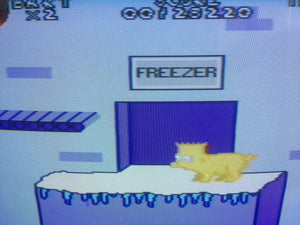 Virtual Bart