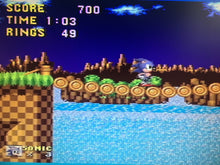 Load image into Gallery viewer, Sonic the Hedgehog - Green Hill Zone