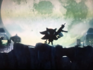 Shadow the Hedgehog