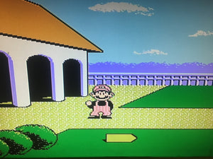 NES OPEN