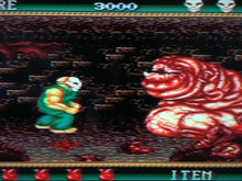 Load image into Gallery viewer, Splatterhouse 2