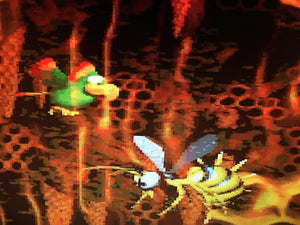 Donkey Kong Country 2: Diddy’s Kong Quest