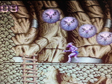 Load image into Gallery viewer, Shadow of the Beast