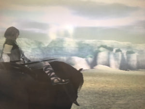Shadow of the Colossus