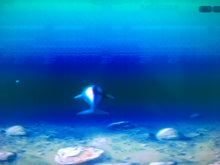 Load image into Gallery viewer, Ecco: the Tides of Time