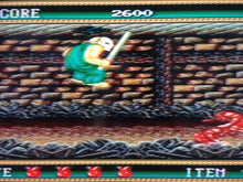 Load image into Gallery viewer, Splatterhouse 2