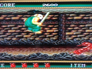 Splatterhouse 2