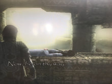 Load image into Gallery viewer, Shadow of the Colossus