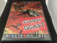 Load image into Gallery viewer, Shadow of the Beast