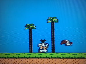 Super Mario Bros. 2