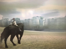 Load image into Gallery viewer, Shadow of the Colossus