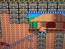Load image into Gallery viewer, The New Zealand Story *MASTER System*