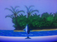 Load image into Gallery viewer, Ecco: the Tides of Time