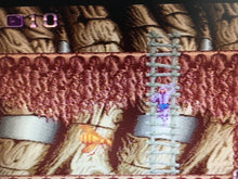 Load image into Gallery viewer, Shadow of the Beast