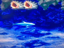 Load image into Gallery viewer, Ecco: the Tides of Time