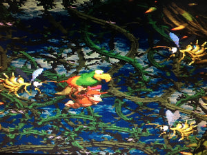 Donkey Kong Country 2: Diddy’s Kong Quest