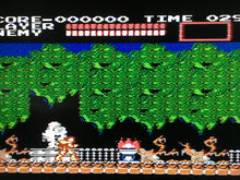 Load image into Gallery viewer, Castlevania