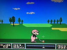 Load image into Gallery viewer, NES OPEN