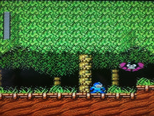 Load image into Gallery viewer, Megaman 2 *COMPLETE*