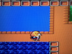 The New Zealand Story *MASTER System*