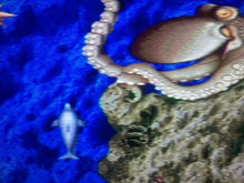 Load image into Gallery viewer, Ecco the Dolphin - THE OCTOPUS
