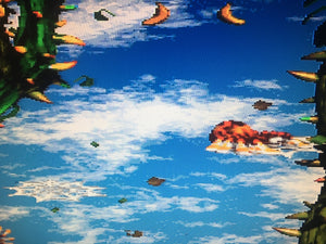 Donkey Kong Country 2 - Animal Antics #Squitter