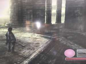 Shadow of the Colossus