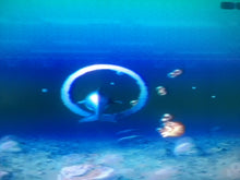 Load image into Gallery viewer, Ecco: the Tides of Time