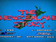 Load image into Gallery viewer, The New Zealand Story *MASTER System*