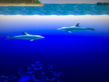 Load image into Gallery viewer, Ecco: the Tides of Time