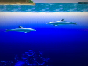 Ecco: the Tides of Time