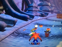 Load image into Gallery viewer, Crash Bandicoot: Wrath of Cortex