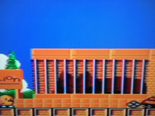 Load image into Gallery viewer, The New Zealand Story *MASTER System*