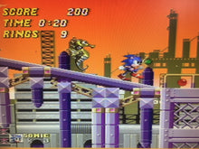 Load image into Gallery viewer, Sonic 2