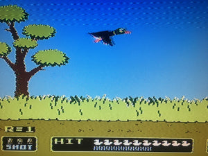 Super Mario Bros. and Duck Hunt