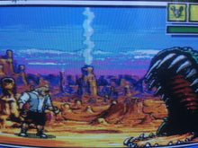 Load image into Gallery viewer, Comix Zone