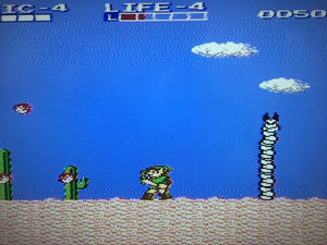 Zelda II: The Adventure of Link