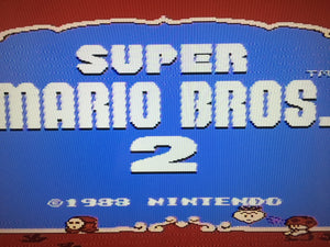 Super Mario Bros. 2