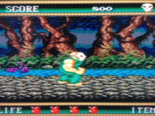 Load image into Gallery viewer, Splatterhouse 2