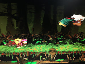 Donkey Kong Country 2 - Barrel Bayou