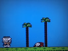 Load image into Gallery viewer, Super Mario Bros. 2
