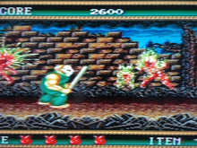 Load image into Gallery viewer, Splatterhouse 2