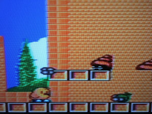 The New Zealand Story *MASTER System*