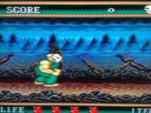 Load image into Gallery viewer, Splatterhouse 2